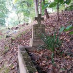 Whitman Cemetery, miner killed in slate fall, Logan County, WV