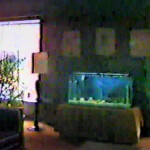 Aracoma Hotel Lobby Fish Tank 1988 courtesy of Robert Piros Aracoma Hotel Lobby Fish Tank 1988