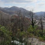 city-view-14