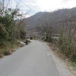 city-view-22