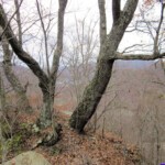Big Rocks
