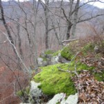 Big Rocks