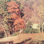 1976 top of Monahill courtesy of Robert Piros. Monahill, Logan County, WV