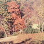 1976 top of Monahill courtesy of Robert Piros. Monahill, Logan County, WV