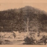 Lundale, WV Postcard