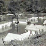 1963 Shamrock. Photo from the collection of Beulah Whitt Cremeans courtesy of her sister, Donetta Adams Pack. Shamrock, Logan County, WV