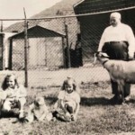 Joseph (Giuseppe) Scaramuzzino, Mount Gay, Logan County, WV
