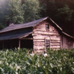 carter-cabin-harts-wv