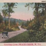 This was a postcard sample being sold to retailers for $7.90 per 1000. This image is not of Peach Creek. Old Postcard Sample