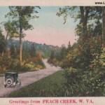 This was a postcard sample being sold to retailers for $7.90 per 1000. This image is not of Peach Creek. Old Postcard Sample
