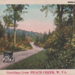 This was a postcard sample being sold to retailers for $7.90 per 1000. This image is not of Peach Creek. Old Postcard Sample