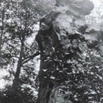 Kids and dog on rock at Henlawson. Photo courtesy of the Sonyi Family. Kids and dog
