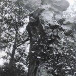 Kids and dog on rock at Henlawson. Photo courtesy of the Sonyi Family. Kids and dog