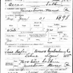 Image courtesy of Charles Salkin. This is the WWI draft registration form for my great-uncle, Oscar Salkin. While he was from Jamestown PA at the time he was working for the Dravo Contracting Company in Dehue when he registered. I don't know how long he lived in Dehue but his stay must have been fairly brief. By 1922 he had graduated with an engineering degree from Carnegie Tech. Oscar Salkin, WWI Draft Registration Card