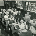 Mt. Gay Elementary School 1950-1951