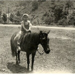 Frank Szakal & Cherry Tree School Frank Szakal & Cherry Tree School