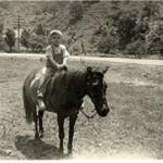 Frank Szakal & Cherry Tree School Frank Szakal & Cherry Tree School