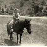 Frank Szakal & Cherry Tree School Frank Szakal & Cherry Tree School