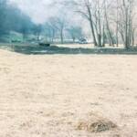 The End of Dehue courtesy of Dolores Davis <br />
<a href="https://loganwv.us/the-end-of-an-era/">Read The End of an Era</a> The End of Dehue