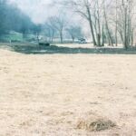 The End of Dehue courtesy of Dolores Davis <br />
<a href="https://loganwv.us/the-end-of-an-era/">Read The End of an Era</a> The End of Dehue