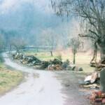 The End of Dehue courtesy of Dolores Davis <br />
<a href="https://loganwv.us/the-end-of-an-era/">Read The End of an Era</a> The End of Dehue