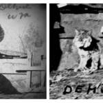 “1917, Dehue, Logan County, West Virginia. Peter Flanigan took this picture while sinking the Dehue Mine shaft and slope, and noted on the back it was “Wild Cat Bill”. He also took a separate picture of the cat which appears to be a Bobcat. “Wild Cat Bill” apparently was a local resident who was hired-on to help with shaft and slope work at Dehue.” Courtesy of Richard Flanigan. Wild Cat Bill, Dehue 1917