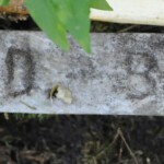 377