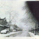 1950s snowy Omar courtesy Linda Farley. She writes. The 2nd house on the left is where I was born. 1950s Omar, WV