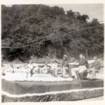 1952 Centennial Parade