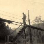 Whites Addition about 1955, George Thompson coming home from the Mt. Gay Coal Mine. The big willow tree was in the yard of the Clifton Black family at Cherry Tree. 1955, George Thompson, Whites Addition, Logan County, WV. Gay Coal Mine.