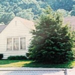 1988 Bush home at Cherry Tree courtesy of Bob Piros. 1988 Bush home at Cherry Tree