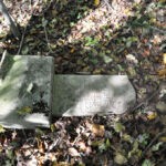 Susie McNeely (1855?-1921) Cemetery at Crooked Creek Susie McNeely