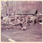 Buffalo Creek Disaster photos from the collection of Charles (Bobby Joe) Adkins