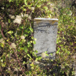 Alonzo Aldredge Alonzo Aldredge