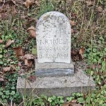 Anna Frances Nichols
