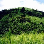 The Vietnam battle area where 22 Marines and 2 Corpsmen from Fox Company, 2nd Battalion, 3rd were killed on May 9, 1967. Photo courtesy of Richard Todd. Battle Area
