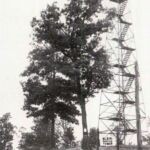 Blair Mountain Fire Tower courtesy of Judith (Burgess) Cassie. Blair Mountain Fire Tower