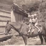 Joe Mullins with son, Donald and cousins David Baisden and Jackie Baisden on Fred. <br />Submitted by Loretta Mullins. Contest Entry #41 41 - Boys on a horse