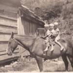 Joe Mullins with son, Donald and cousins David Baisden and Jackie Baisden on Fred. <br />Submitted by Loretta Mullins. Contest Entry #41 41 - Boys on a horse