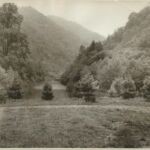 Chauncy Dam courtesy of Rayman Herman. chauncey-dam-courtesy-of-rayman-herman-3