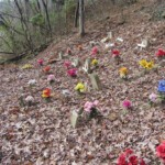 City View Cemetery