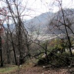 City View Cemetery