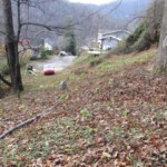 City View Cemetery