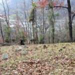 City View Cemetery