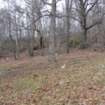 City View Cemetery