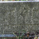 John and Anna McDonald