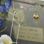 Woodrow Frye