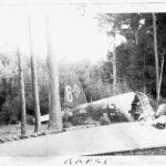 dodowned-german-plane-near-ansback-germany