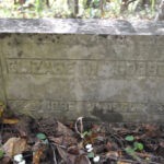 Elizabeth Godby Cemetery at Crooked Creek Elizabeth Godby