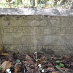 Elizabeth Godby